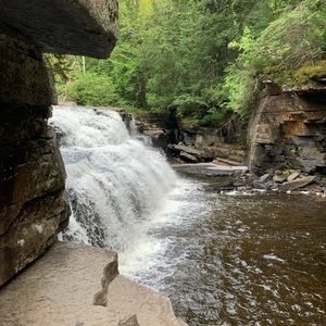 Meet your Posher, Adam